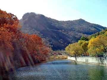 管家婆免费正版资起大全，都市邪神燃文